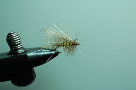 Tips For Fishing Dry Flies - Trout Unlimited